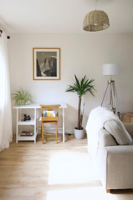 The Palm House Falmouth - Minutes From The Beach! Extérieur photo